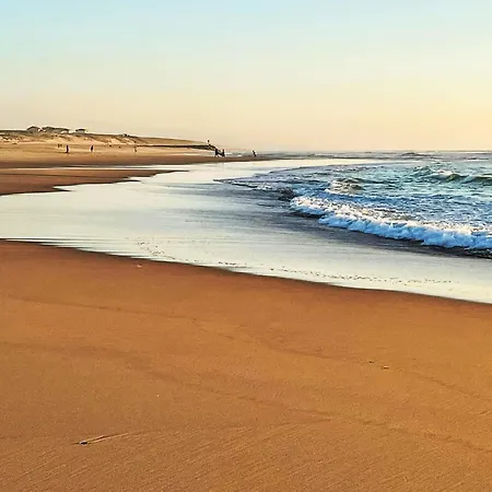 Patguyflor-2 By Interhome Daire *