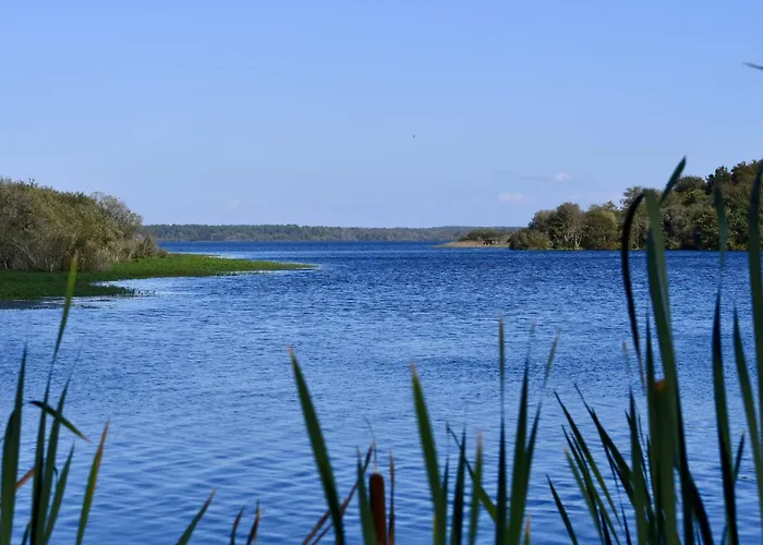 Patguyflor-2 By Interhome Appartamento *